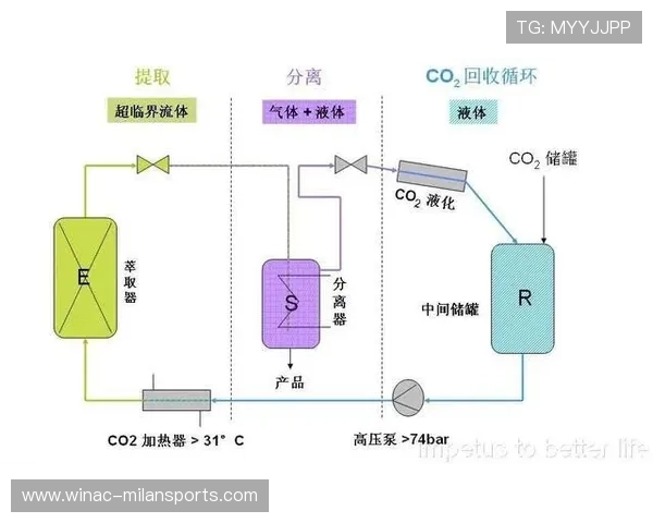 临界状态：关键比赛谁能把握主动？，临界状态指的是什么