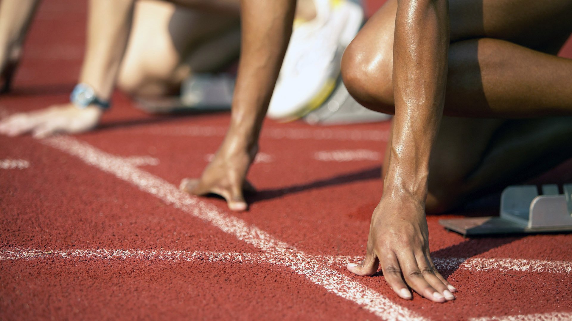 体育赛事安全管理体系构建与实施效果，体育赛事安全监管