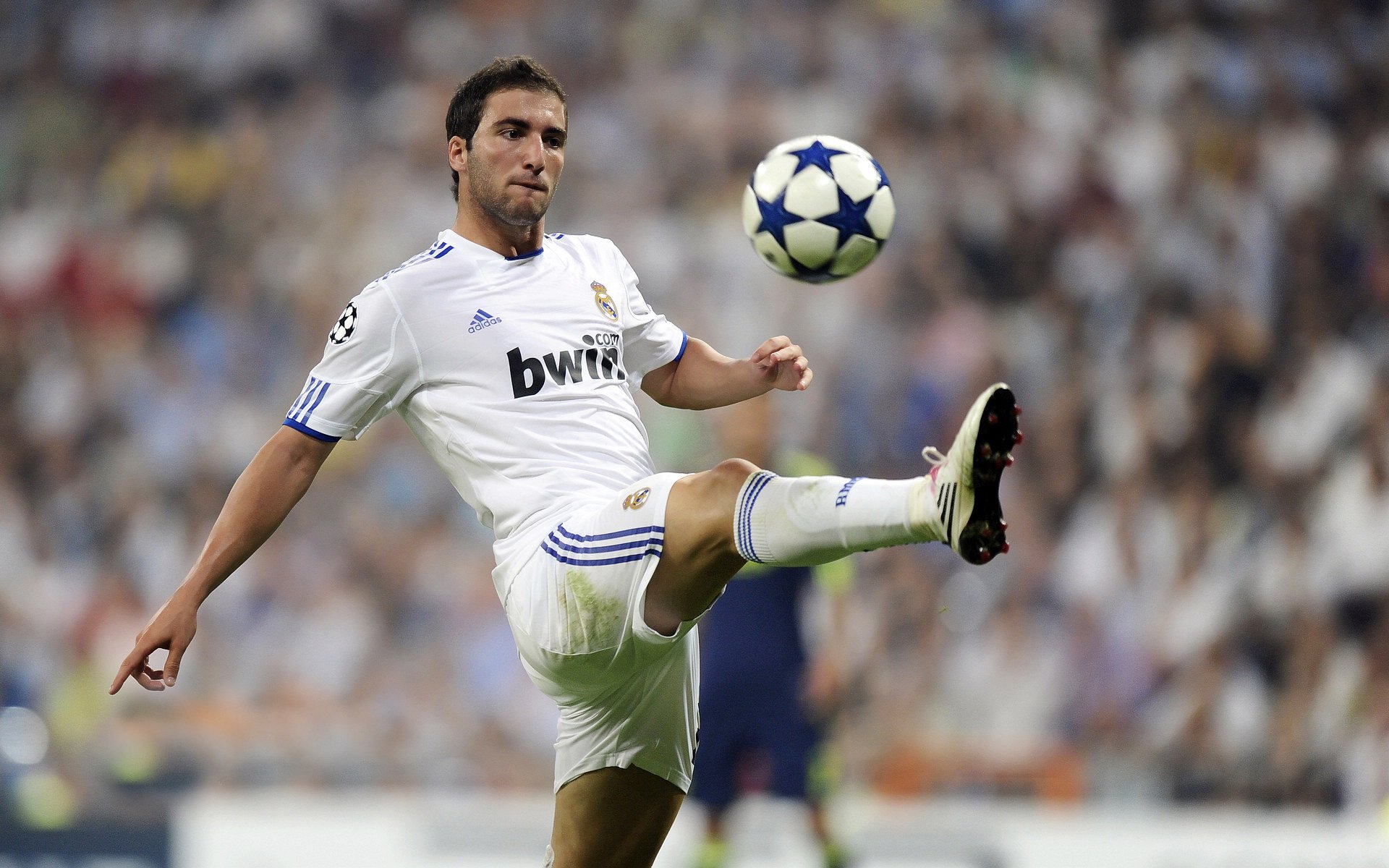 塞尔维亚男篮在欧洲竞技场中持续发力，意在夺得冠军，塞尔维亚男篮12人大名单