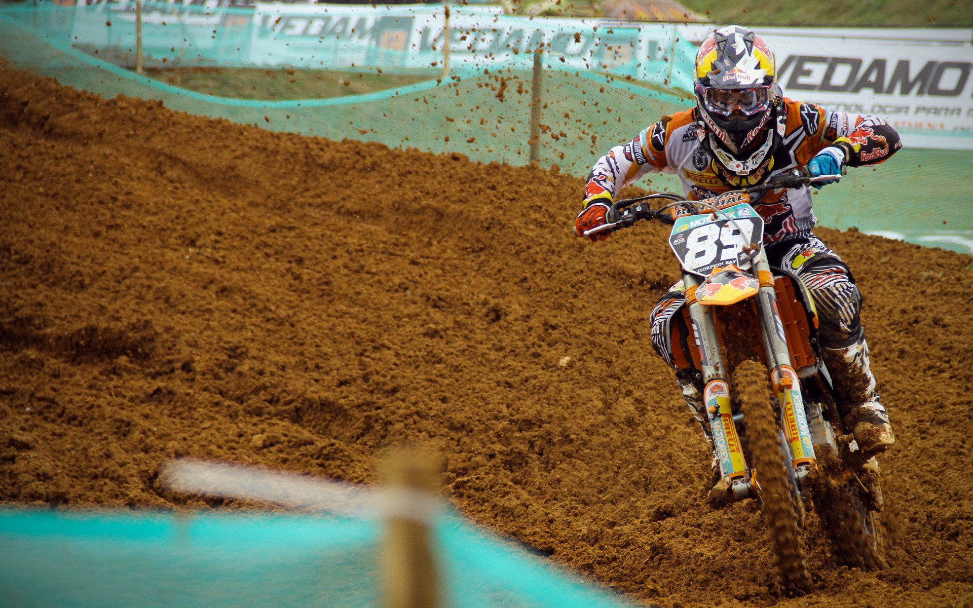 波兰仰泳选手技术细腻，波兰游泳队员刚到东京就要回国