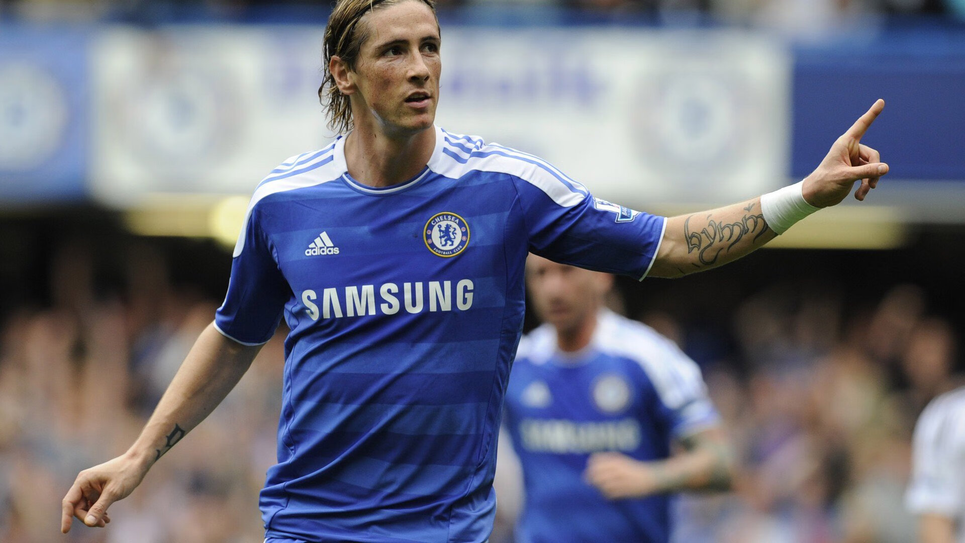 浙江队主场氛围火爆支持球队冲冠，浙江队主力